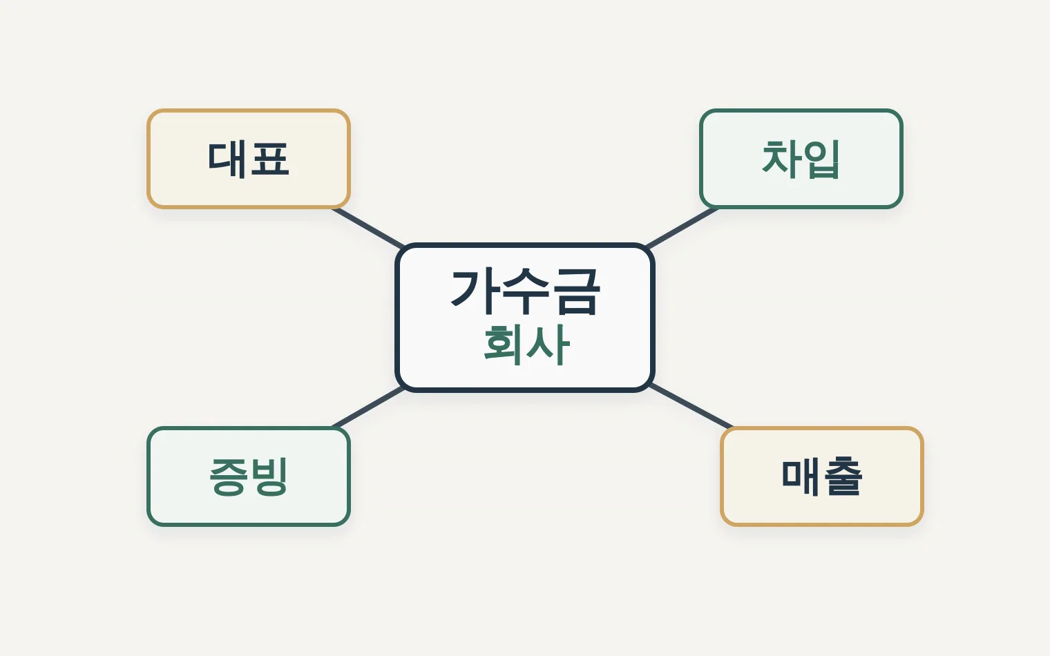 가수금 출처와 자금조달 위험 관계도